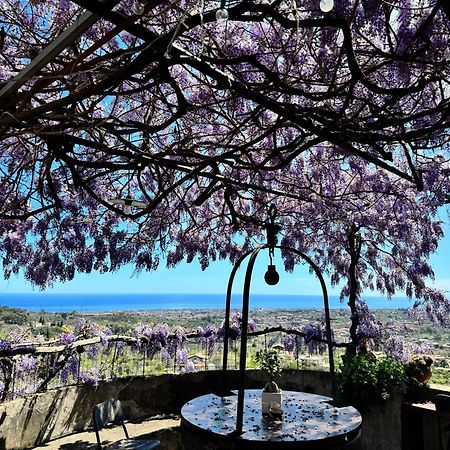 Il Noceto Dell'Etna Giarre Exterior foto