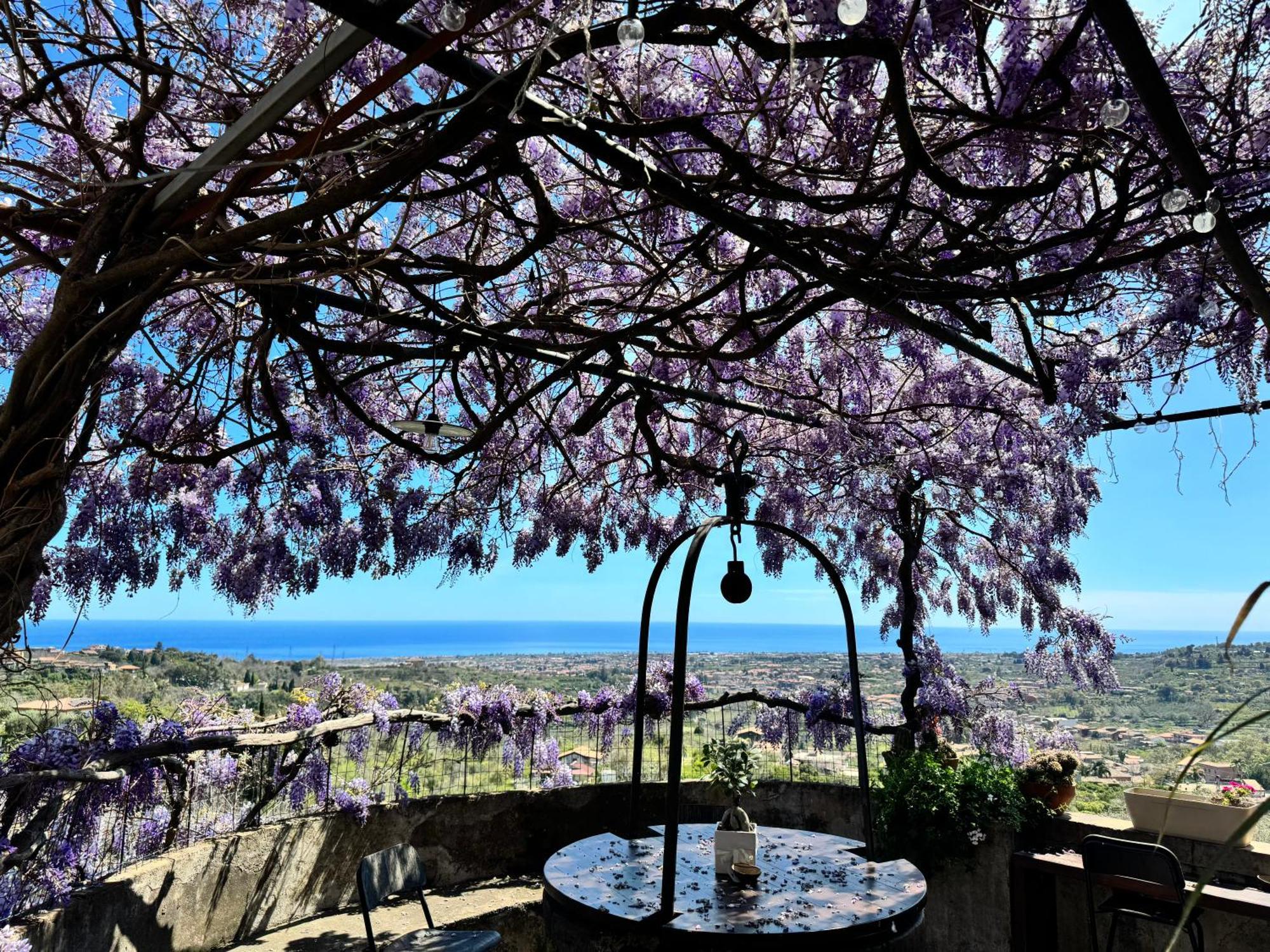 Il Noceto Dell'Etna Giarre Exterior foto